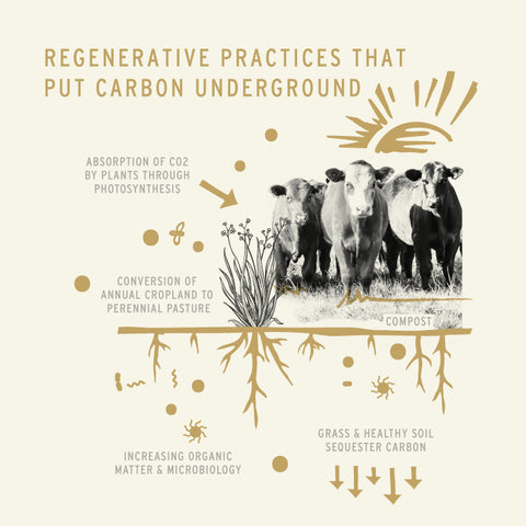 A chart showing the regenerative practices that put carbon underground
