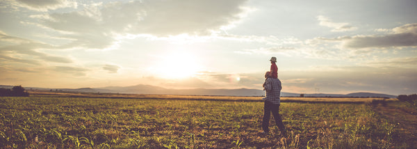 Epic Stripe Climate image of field with father and child