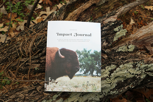 Introducing the 2018 Impact Journal