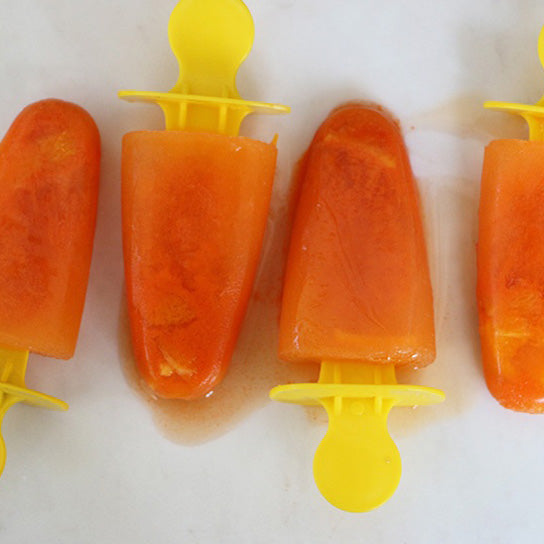 Carrot & Ginger Bone Broth Popsicles Adventure Blog EPIC EPIC