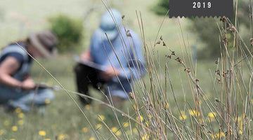 two people kneeling on a pasture, writing notes. In the foreground, there's a bush with tall grass in focus.
