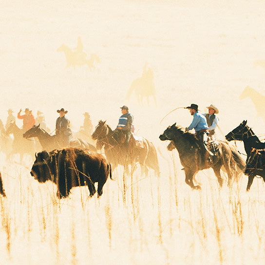 Roam Ranch Update 2 Adventure Blog EPIC EPIC Provisions