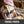 Load image into Gallery viewer, Chicken BBQ Seasoned Bar
