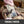 Load image into Gallery viewer, Venison Sea Salt Pepper Bar
