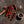Load image into Gallery viewer, Wagyu Beef Sticks
